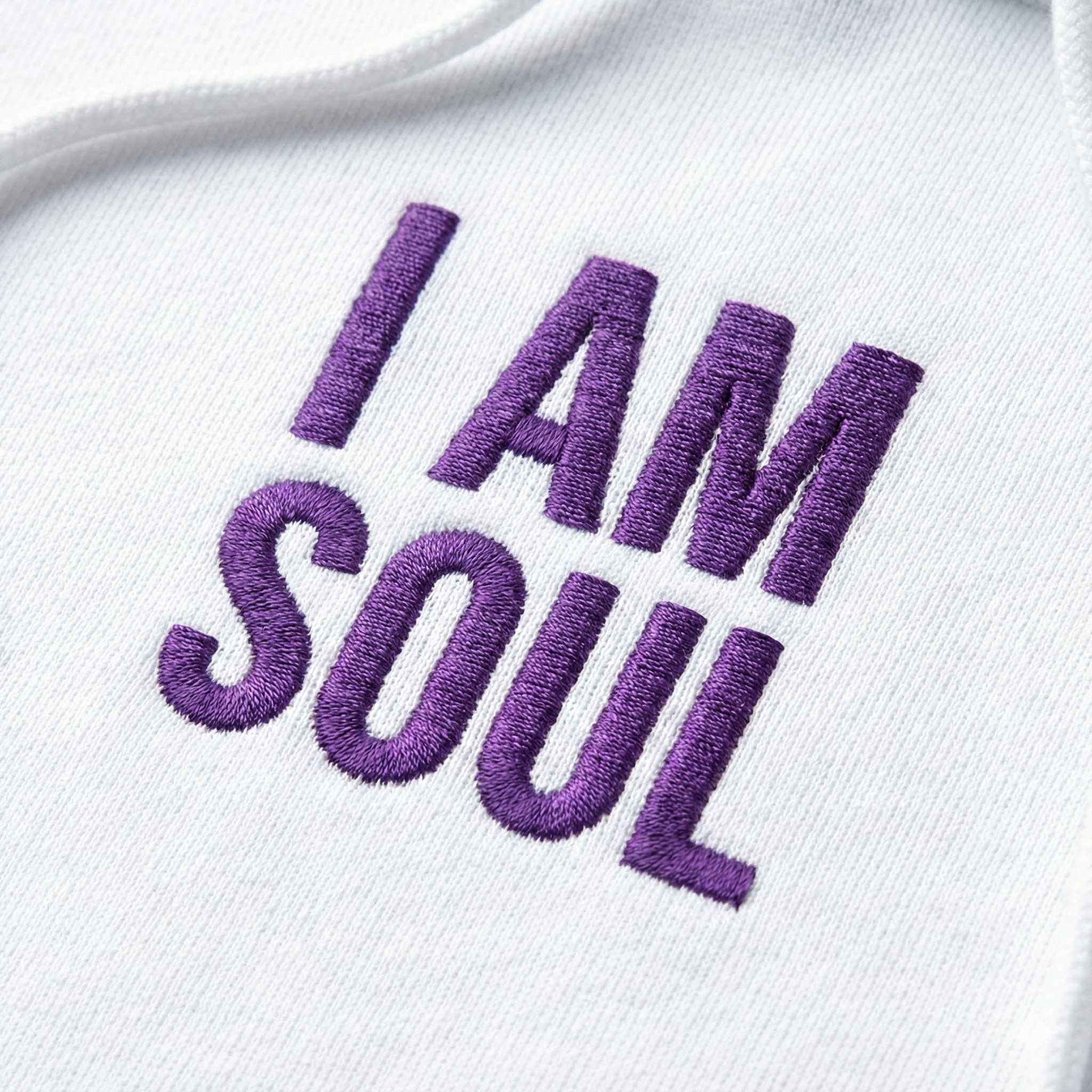 i am soul. hoodie. bhakty.store